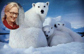 “Meryl Streep” Narrates New Arctic Documentary